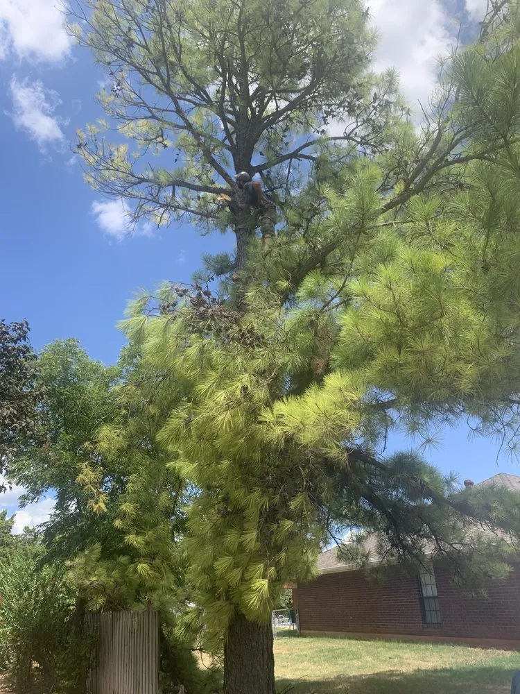 Expert residential landscaping in Duncan, OK - Lewis Tree Service