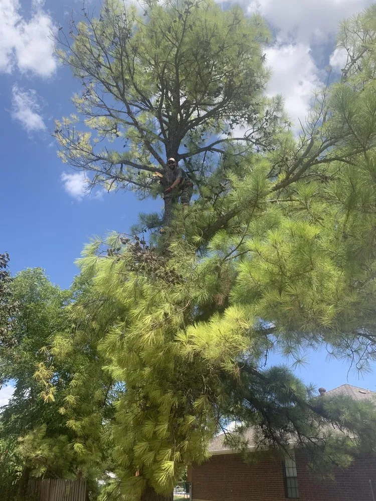 Professional lawn mowing service in Duncan, OK by Lewis Tree Service