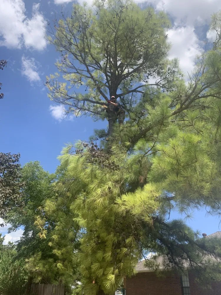 Reliable lawn mowing service with custom design in Duncan, OK by Lewis Tree Service