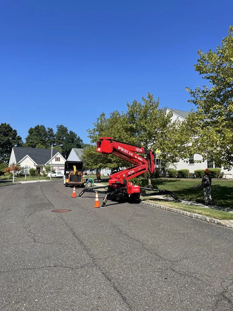 Custom lawn care service for year-round maintenance across Southampton, NJ - Lewis Tree Service