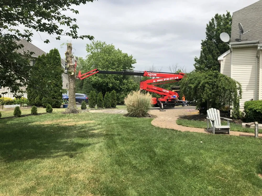 Affordable outdoor landscaping for year-round maintenance in Southampton, NJ by Lewis Tree Service