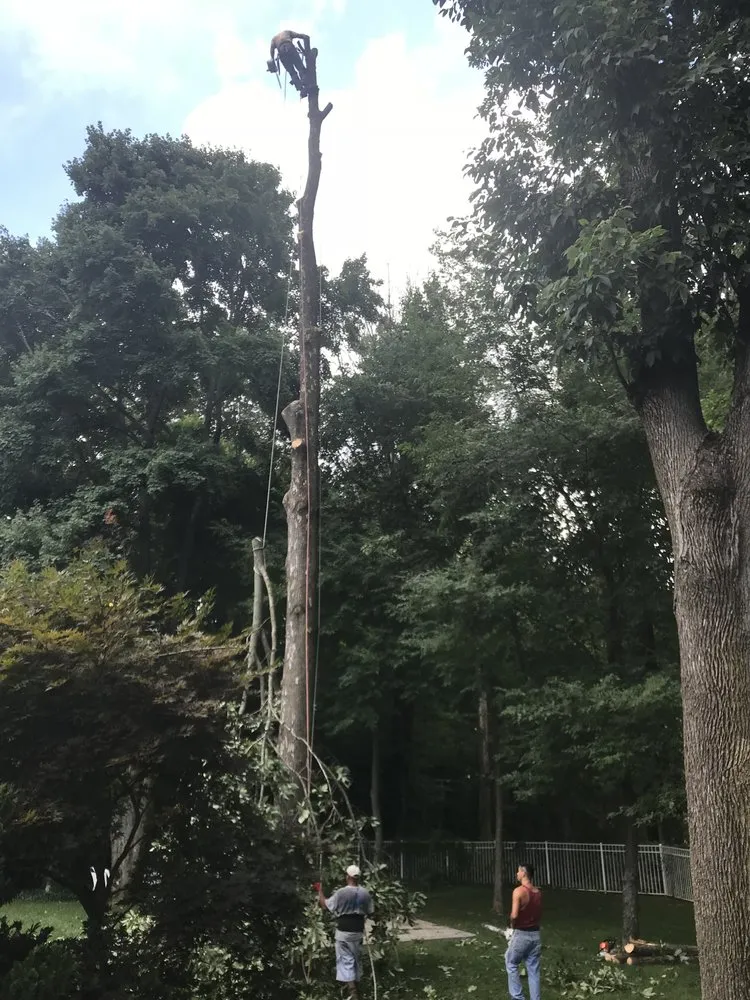 Local lawn mowing service in Southampton, NJ - Lewis Tree Service