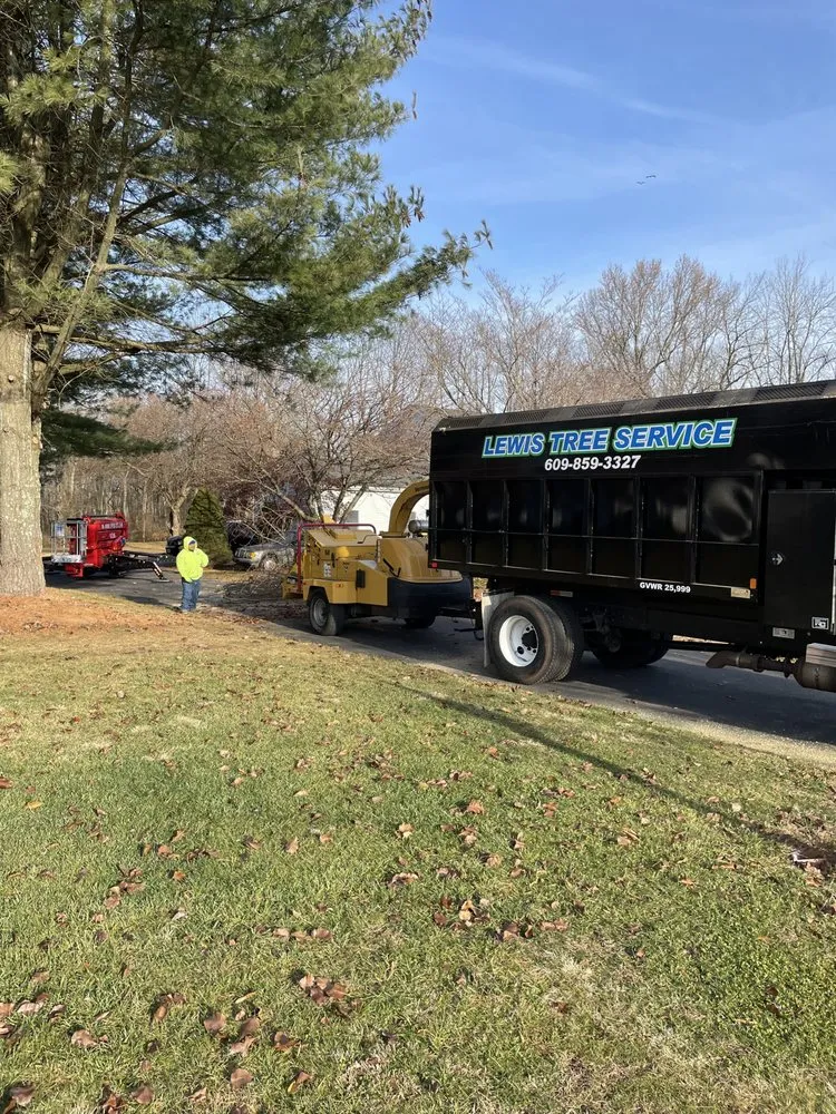 Expert landscape design for outdoor upgrades across Southampton, NJ - Lewis Tree Service