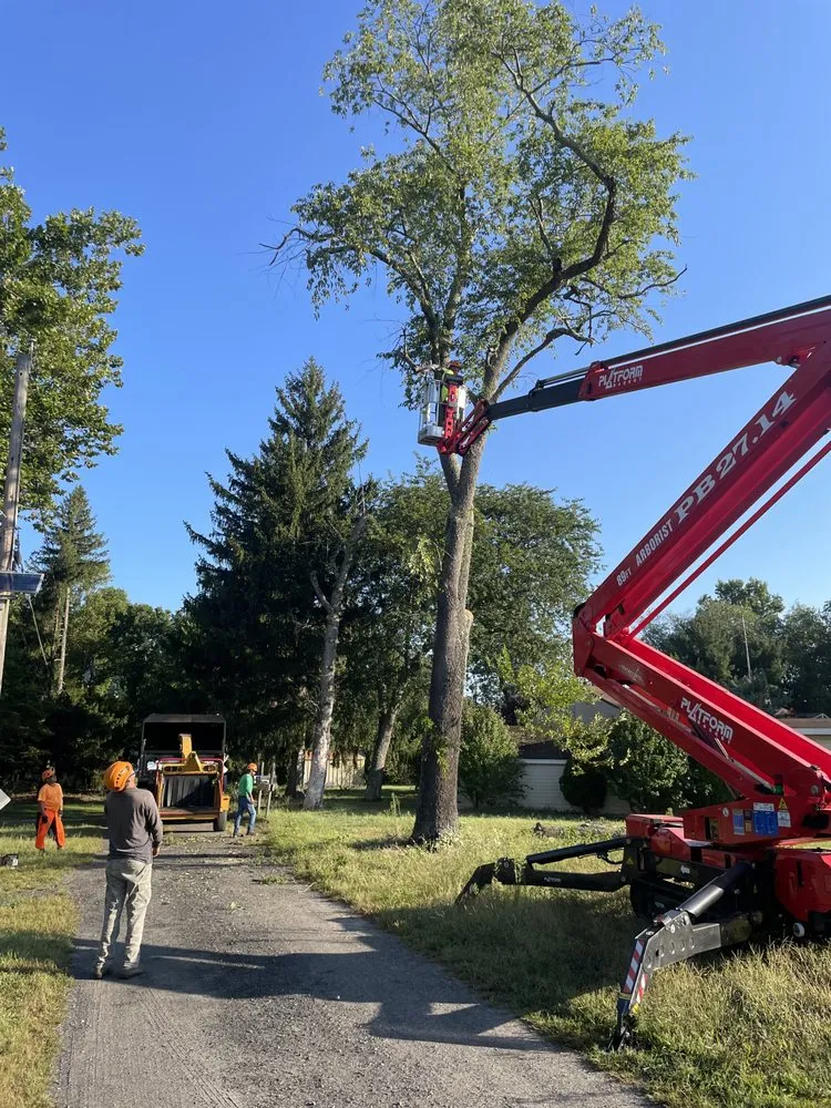 Professional lawn mowing service for outdoor upgrades in Southampton, NJ by Lewis Tree Service