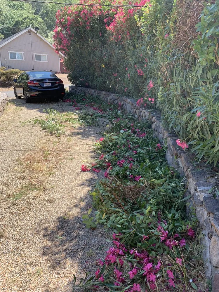 Trusted landscaping services in Galt, CA by Lew’s Lawn and Weed Abatement