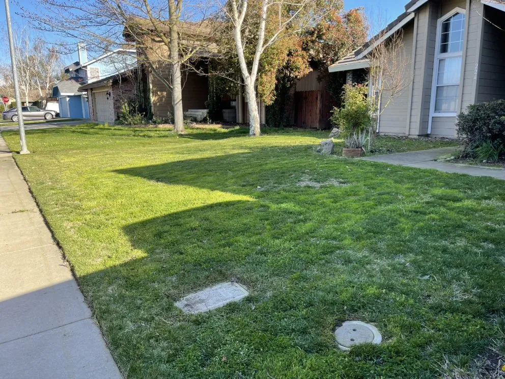 Expert garden landscaping near you across Galt, CA - Lew’s Lawn and Weed Abatement