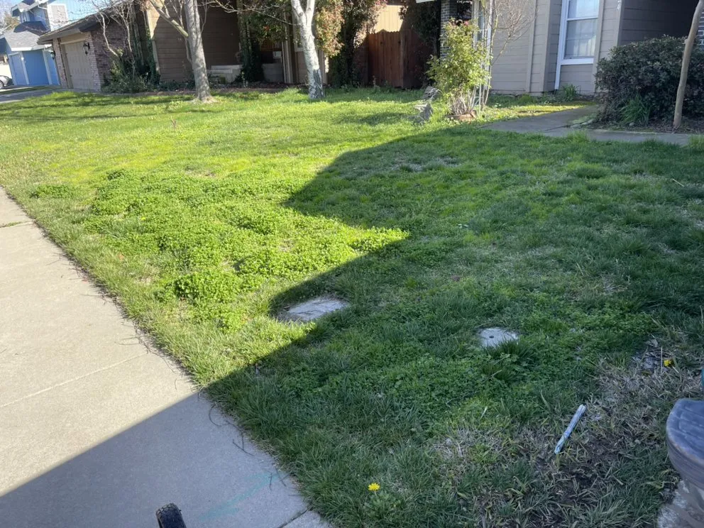 Trusted garden landscaping for outdoor upgrades across Galt, CA - Lew’s Lawn and Weed Abatement
