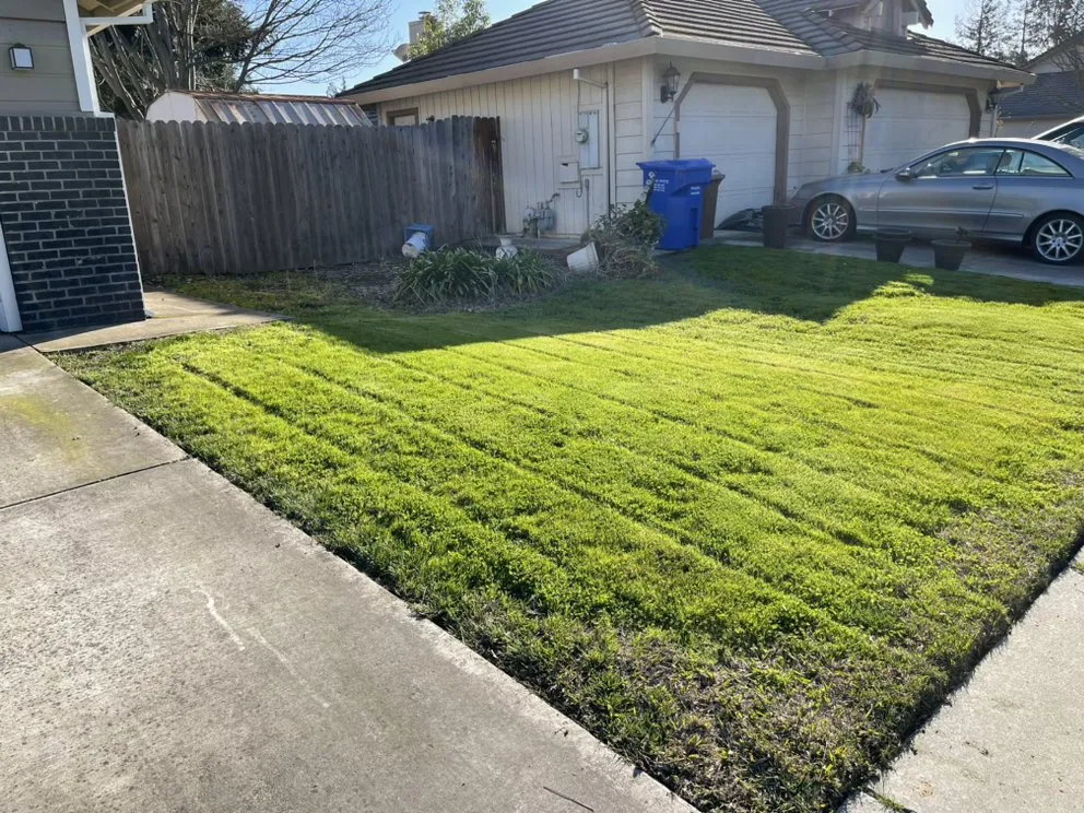 Reliable residential landscaping experts serving Galt, CA - Lew’s Lawn and Weed Abatement
