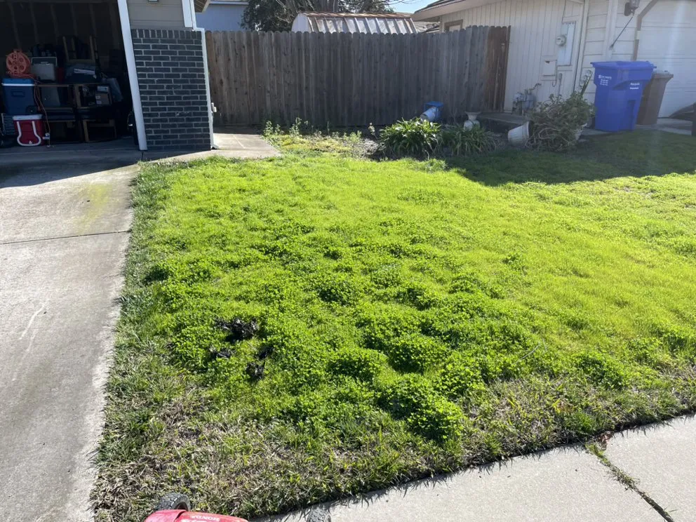 Affordable landscaping services experts serving Galt, CA - Lew’s Lawn and Weed Abatement