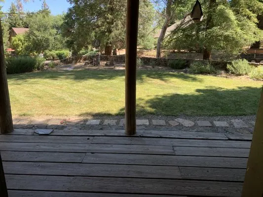 Lew’s Lawn and Weed Abatement Logo