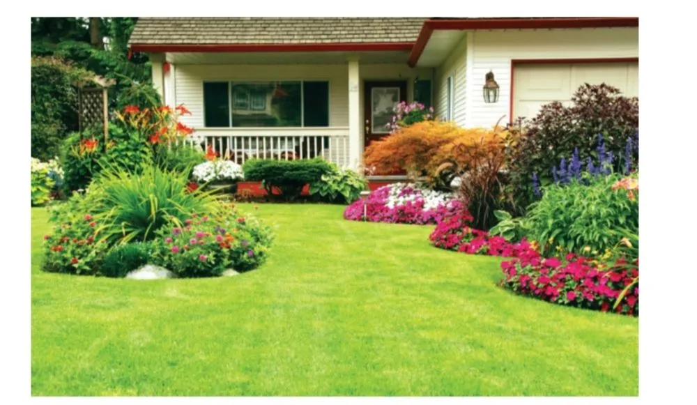 Affordable lawn care service in Fresno, CA - Lewys Lawn Mowing