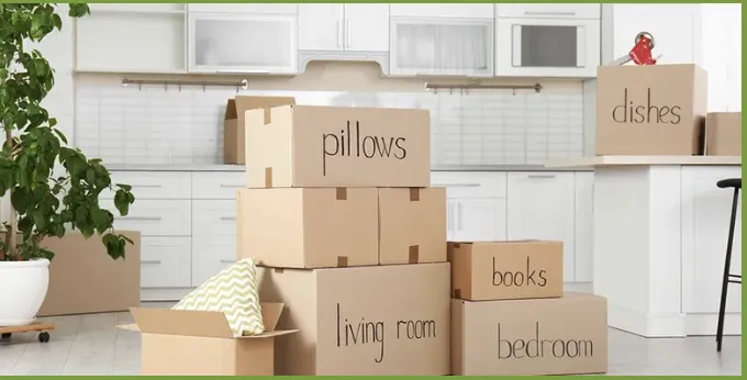 Affordable outdoor landscaping experts serving Spring, TX - Lewzander Cleaning Solutions