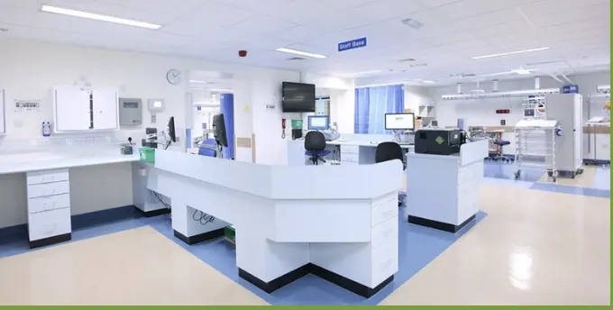 Affordable yard cleanup service with custom design in Spring, TX by Lewzander Cleaning Solutions