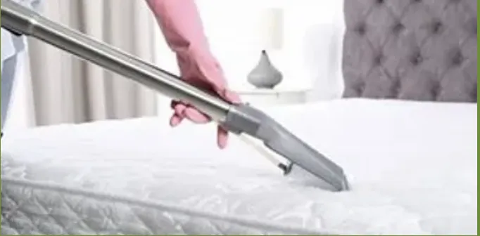 Trusted yard cleanup service in Spring, TX - Lewzander Cleaning Solutions