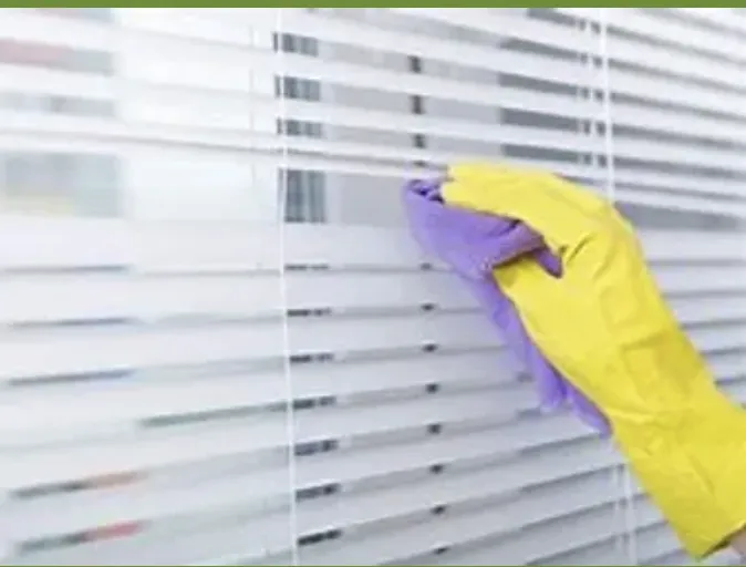 Custom lawn care service experts serving Spring, TX - Lewzander Cleaning Solutions