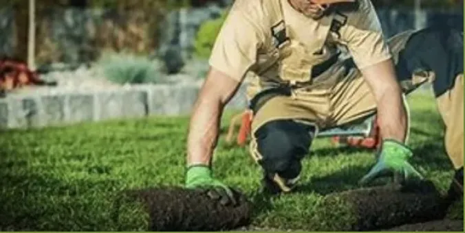 Top-rated yard maintenance for year-round maintenance in Spring, TX by Lewzander Cleaning Solutions