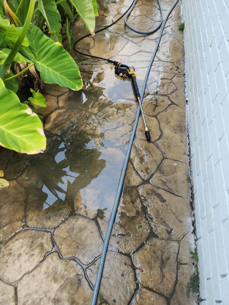 Reliable landscape design in McAllen, TX - Lex & Mj's Services