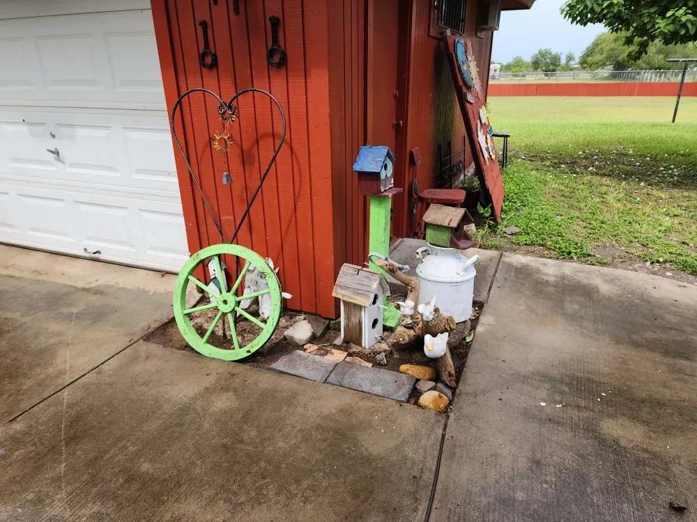 Professional lawn care service in McAllen, TX - Lex & Mj's Services