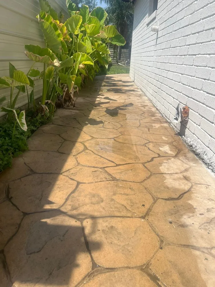 Local yard maintenance in McAllen, TX by Lex & Mj's Services