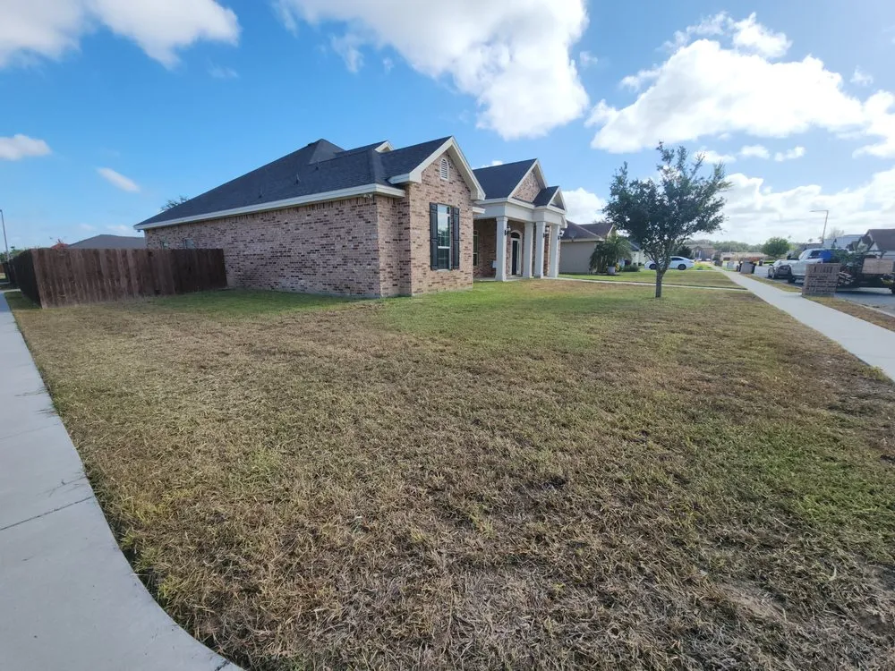 Custom landscape design experts serving McAllen, TX - Lex & Mj's Services