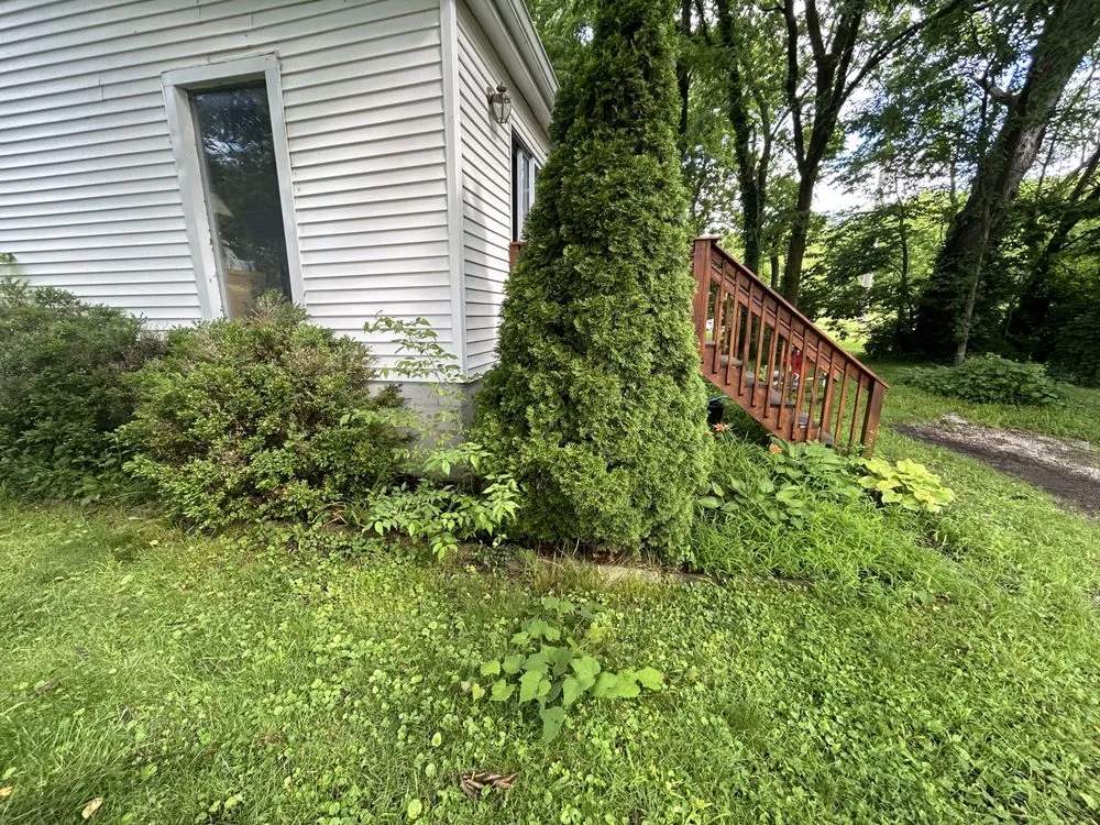 Top-rated lawn mowing service for outdoor upgrades in Lexington, KY by Lex Landscaping