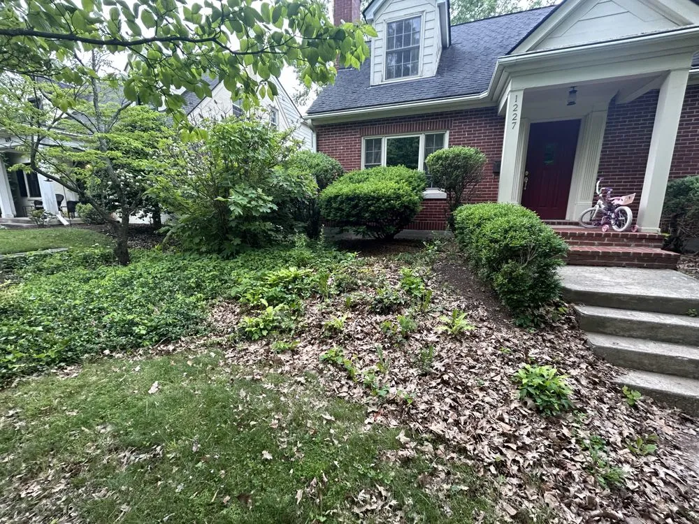 Top-rated yard maintenance in Lexington, KY by Lex Landscaping