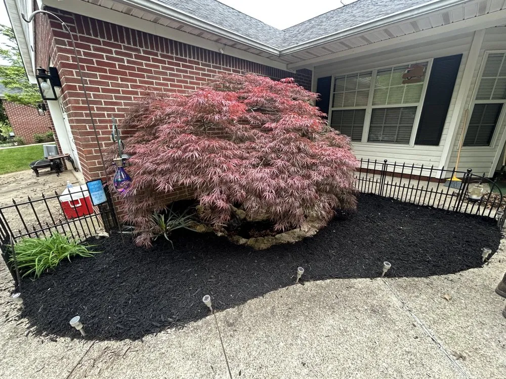 Reliable yard cleanup service for residential properties in Lexington, KY by Lex Landscaping