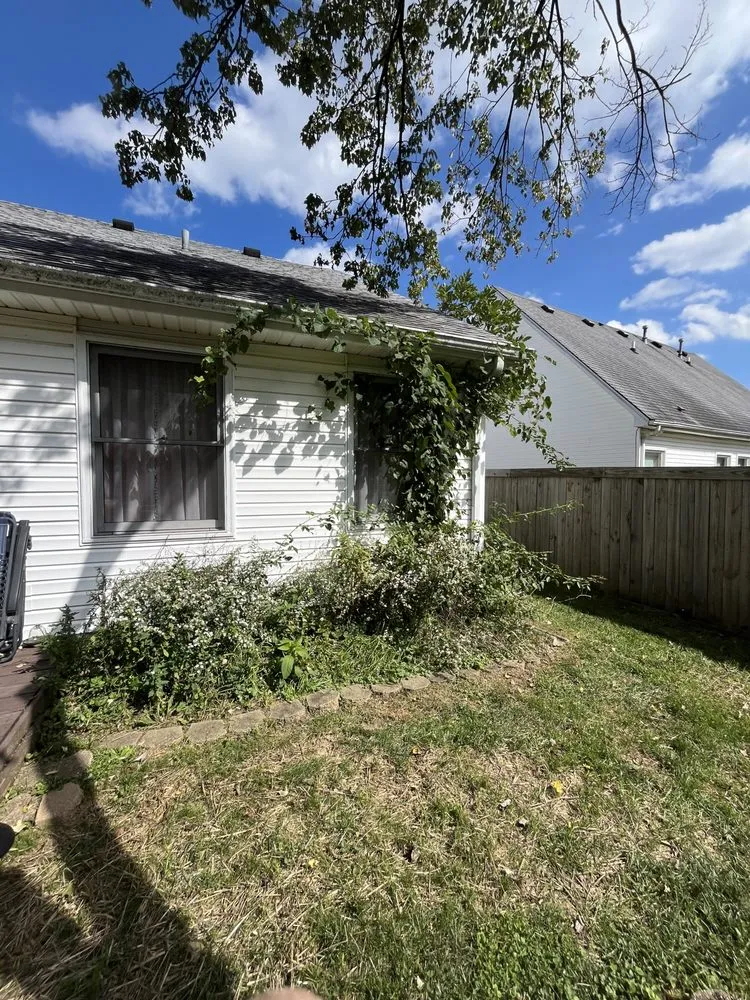 Top-rated lawn care service for homes across Lexington, KY - Lex Landscaping