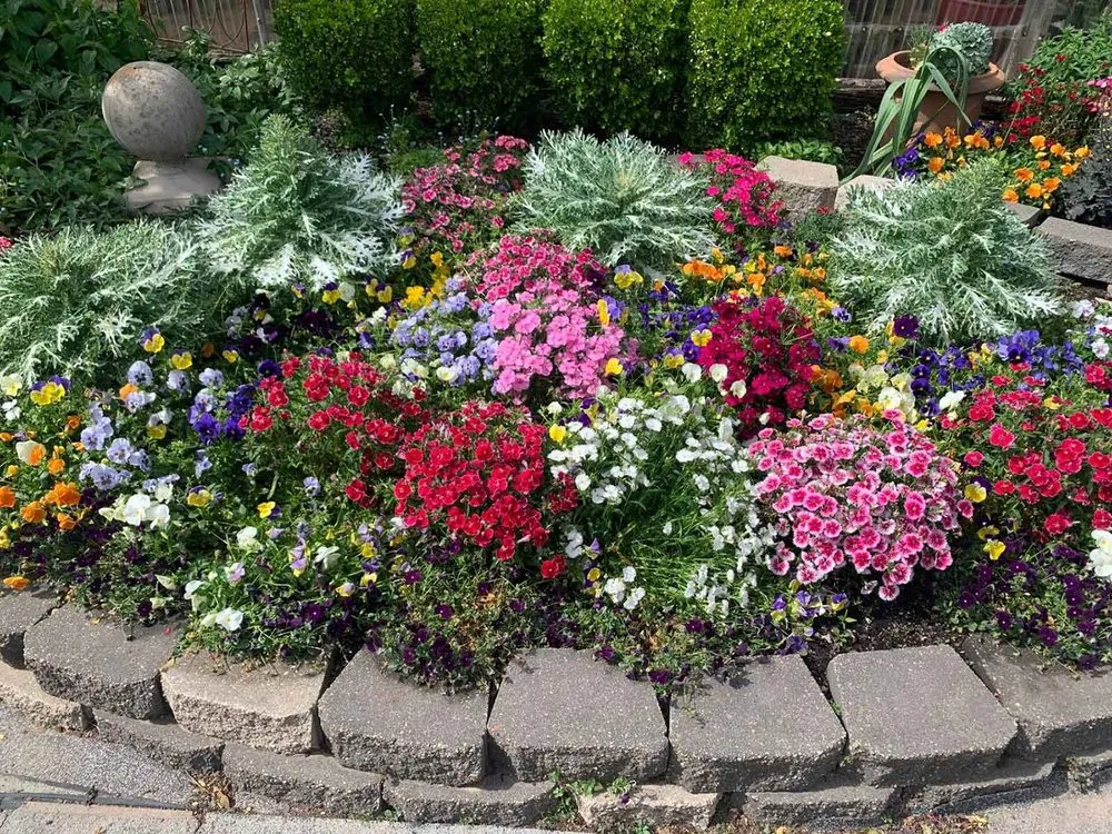 Affordable landscape installation in Shreveport, LA - Lex Plant Farm & Garden Center