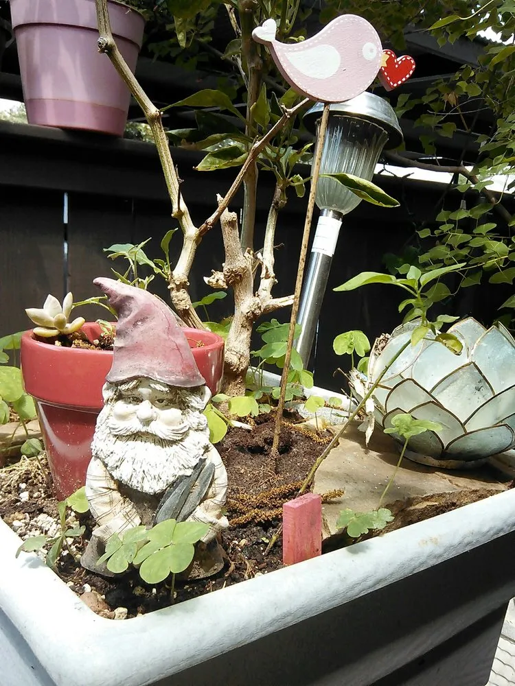 Local garden landscaping with custom design across Shreveport, LA - Lex Plant Farm & Garden Center