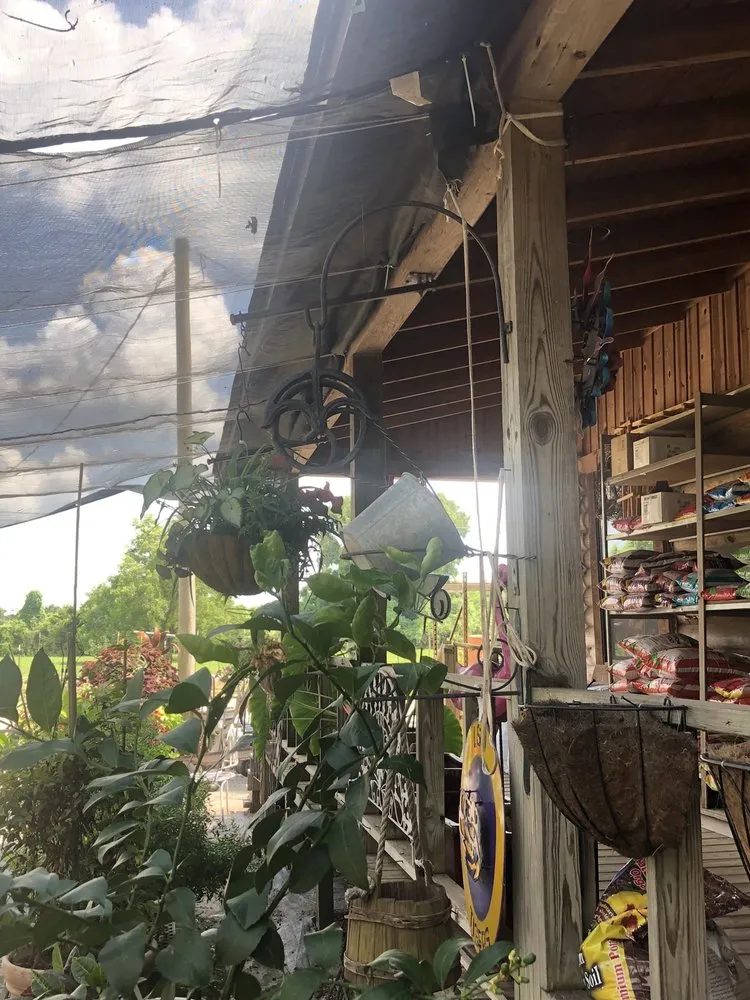 Affordable outdoor landscaping in Shreveport, LA by Lex Plant Farm & Garden Center