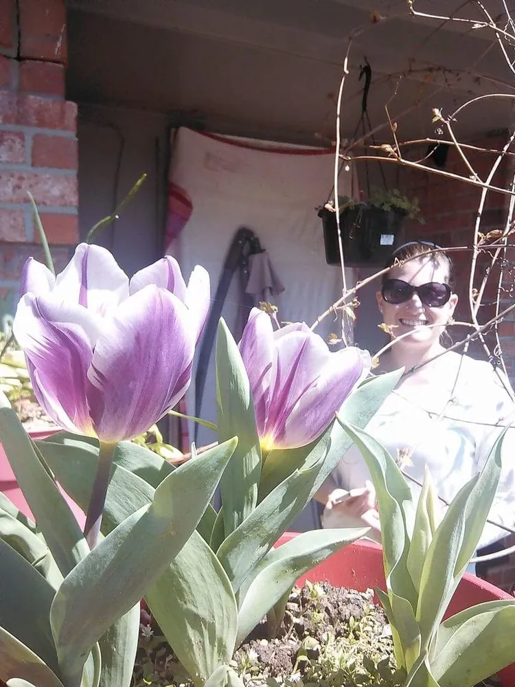 Expert yard cleanup service for beautiful yards across Shreveport, LA - Lex Plant Farm & Garden Center