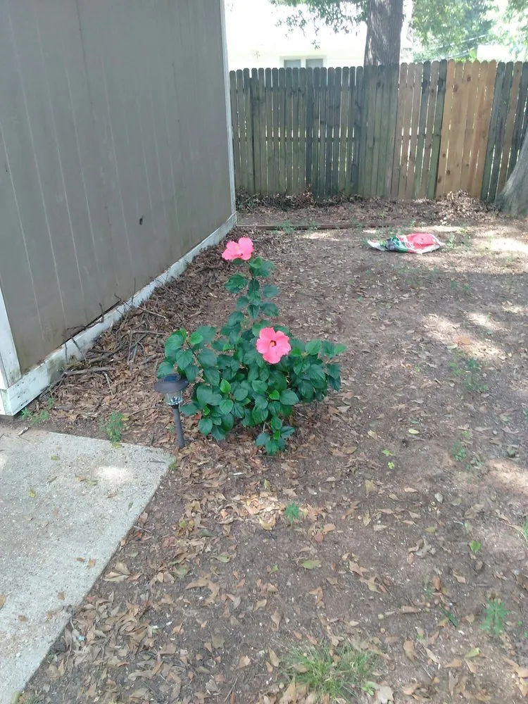 Expert lawn mowing service in Shreveport, LA by Lex Plant Farm & Garden Center