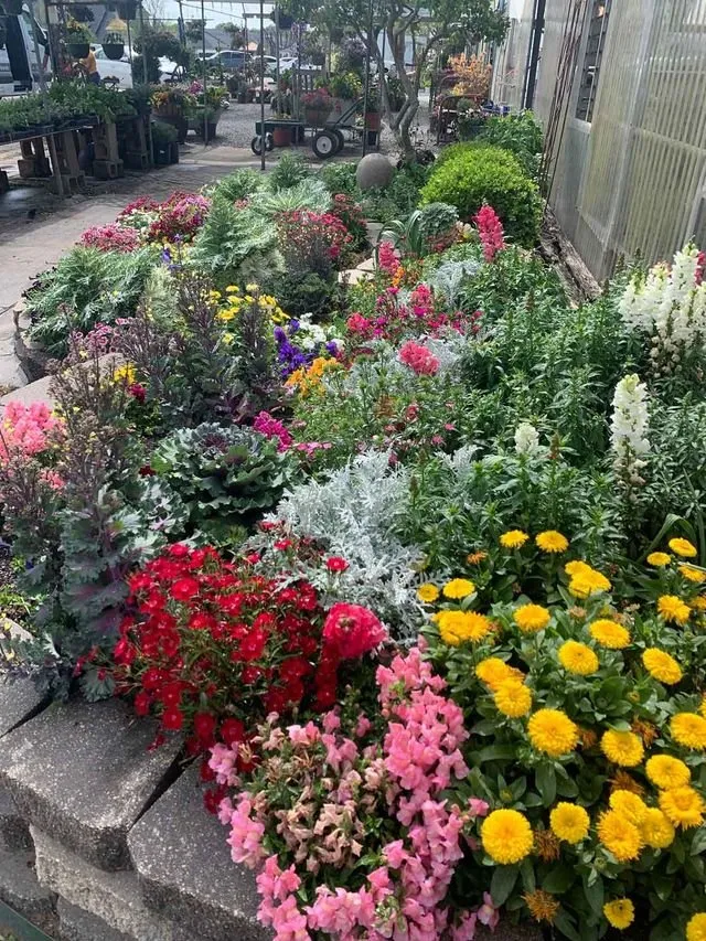 Expert lawn mowing service in Shreveport, LA - Lex Plant Farm & Garden Center