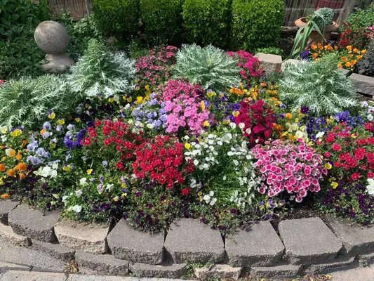 Lex Plant Farm & Garden Center