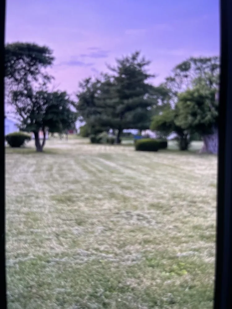 Expert yard cleanup service for residential properties across Trotwood, OH - Lex Towing & Lawn Care Service