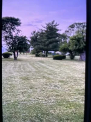 Lex Towing & Lawn Care Service