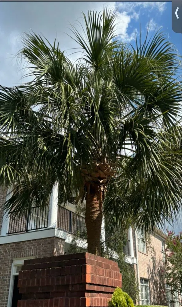 Trusted lawn mowing service in West Columbia, SC - Lexington Landscaping