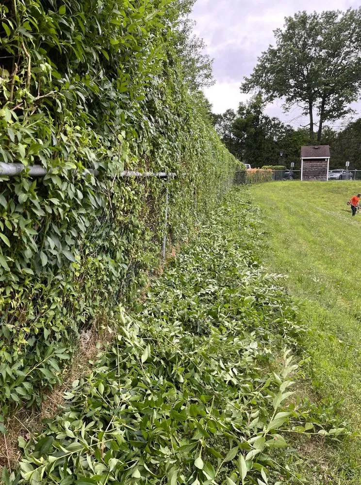 Professional landscape installation with custom design in West Columbia, SC by Lexington Landscaping