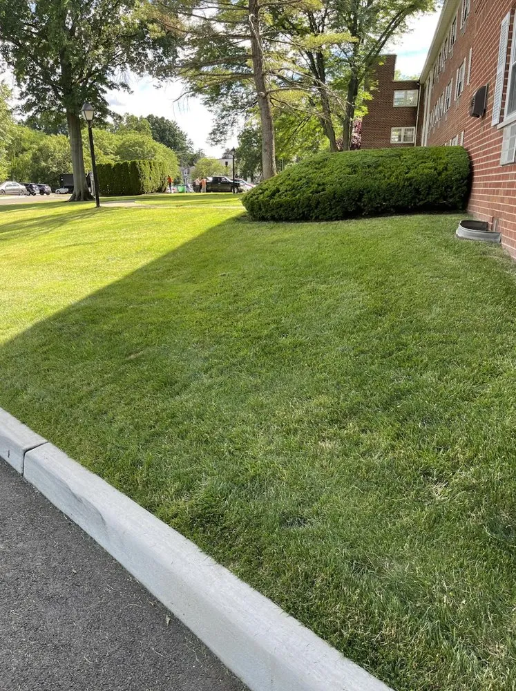 Reliable yard cleanup service with custom design across West Columbia, SC - Lexington Landscaping