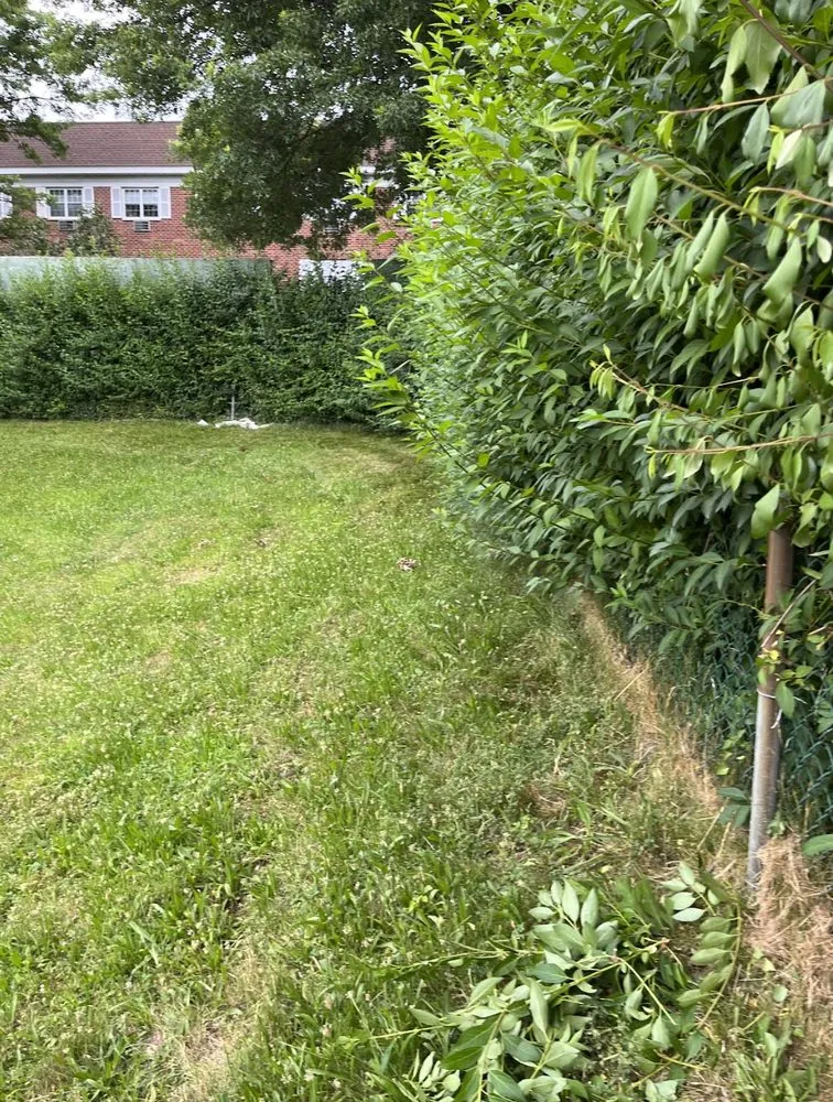 Expert yard maintenance in West Columbia, SC by Lexington Landscaping