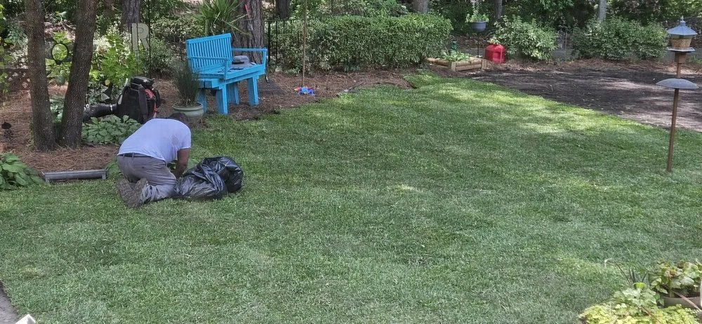 Reliable lawn care service for outdoor upgrades across West Columbia, SC - Lexington Landscaping