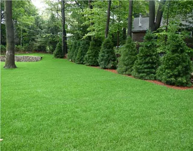 Reliable yard maintenance for outdoor upgrades in Lexington, MA by Lexington Lawn Care Services Inc