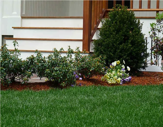 Affordable landscape design in Lexington, MA - Lexington Lawn Care Services Inc