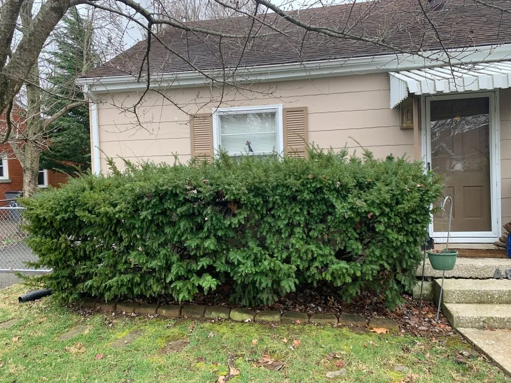 Expert outdoor landscaping near you in Lexington, KY by Lexington Lawn Guy