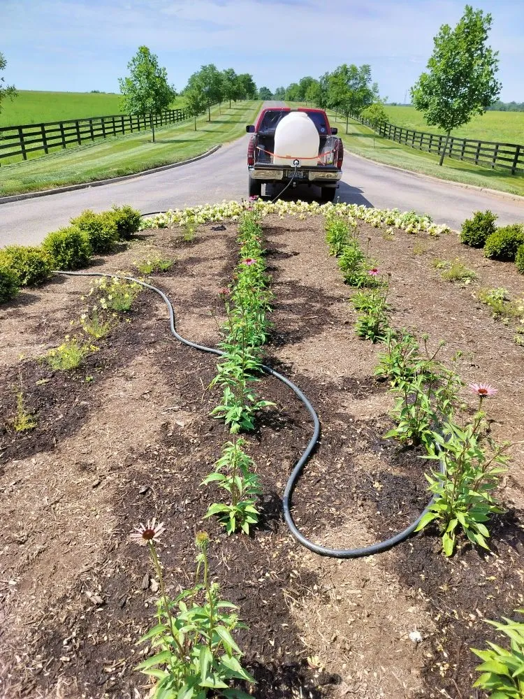 Top-rated yard cleanup service for homes in Lexington-Fayette, KY by Lexington Lawn Services