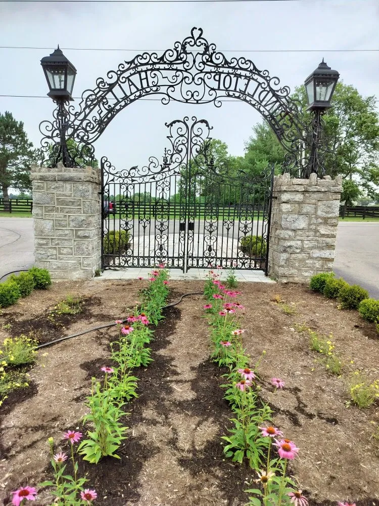 Local lawn care service for homes across Lexington-Fayette, KY - Lexington Lawn Services