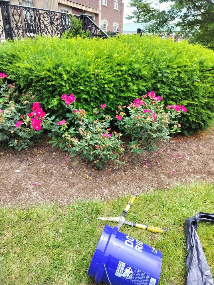Expert residential landscaping in Lexington-Fayette, KY - Lexington Lawn Services