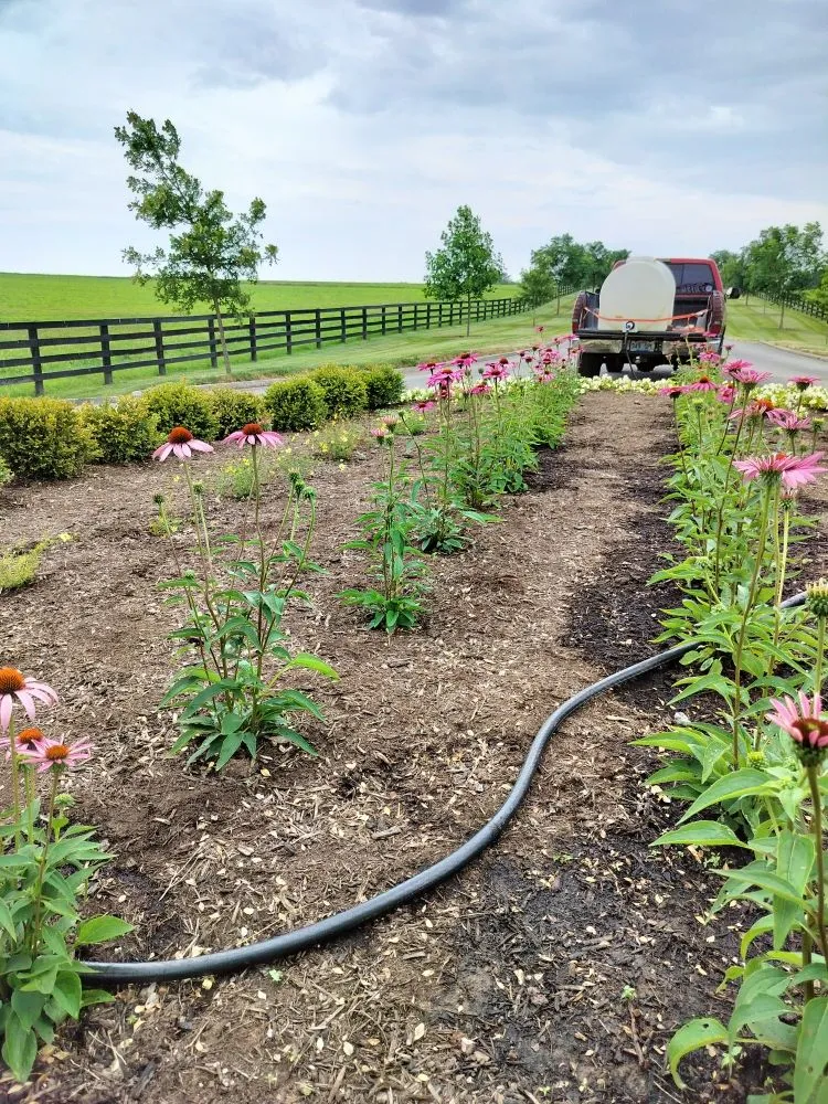 Expert lawn mowing service experts serving Lexington-Fayette, KY - Lexington Lawn Services