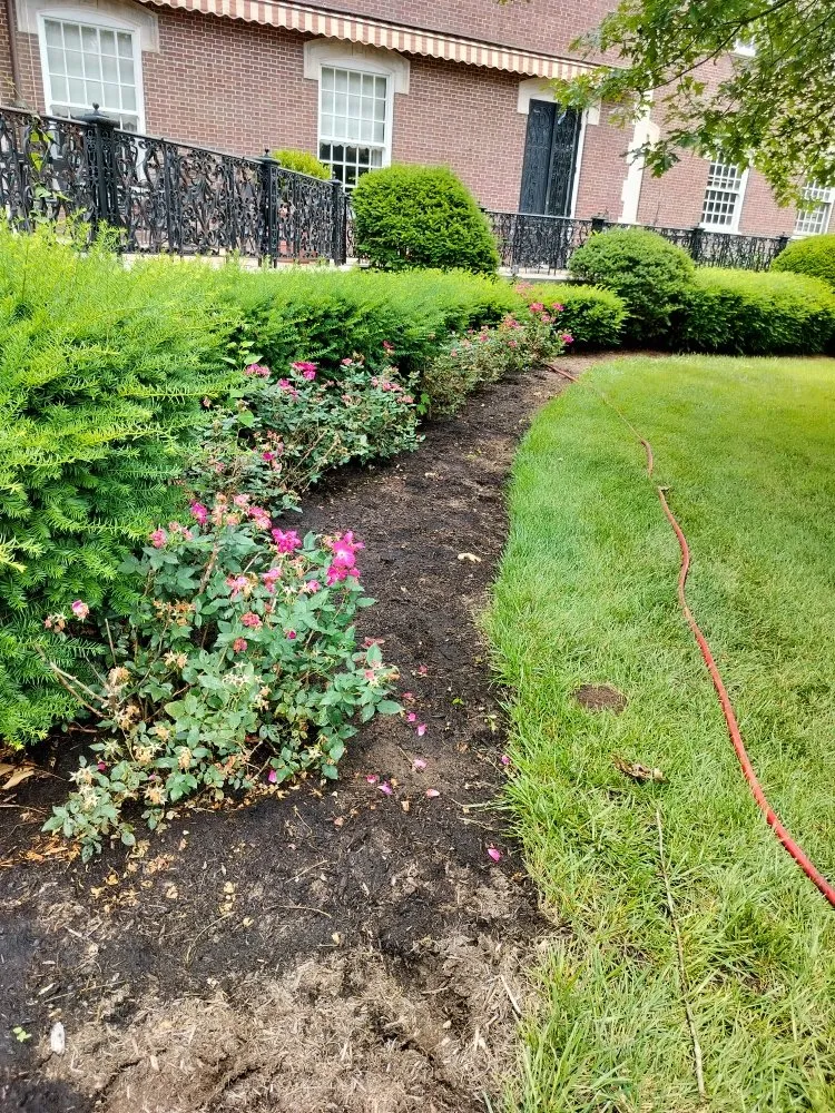 Professional landscape design with custom design across Lexington-Fayette, KY - Lexington Lawn Services
